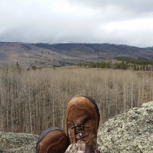 Meet your Posher, Todd